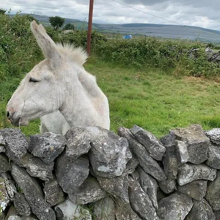 Three Bedroom Cosy Quiet Luxury In The Burren Wild Atlantic Way Nyaraló *